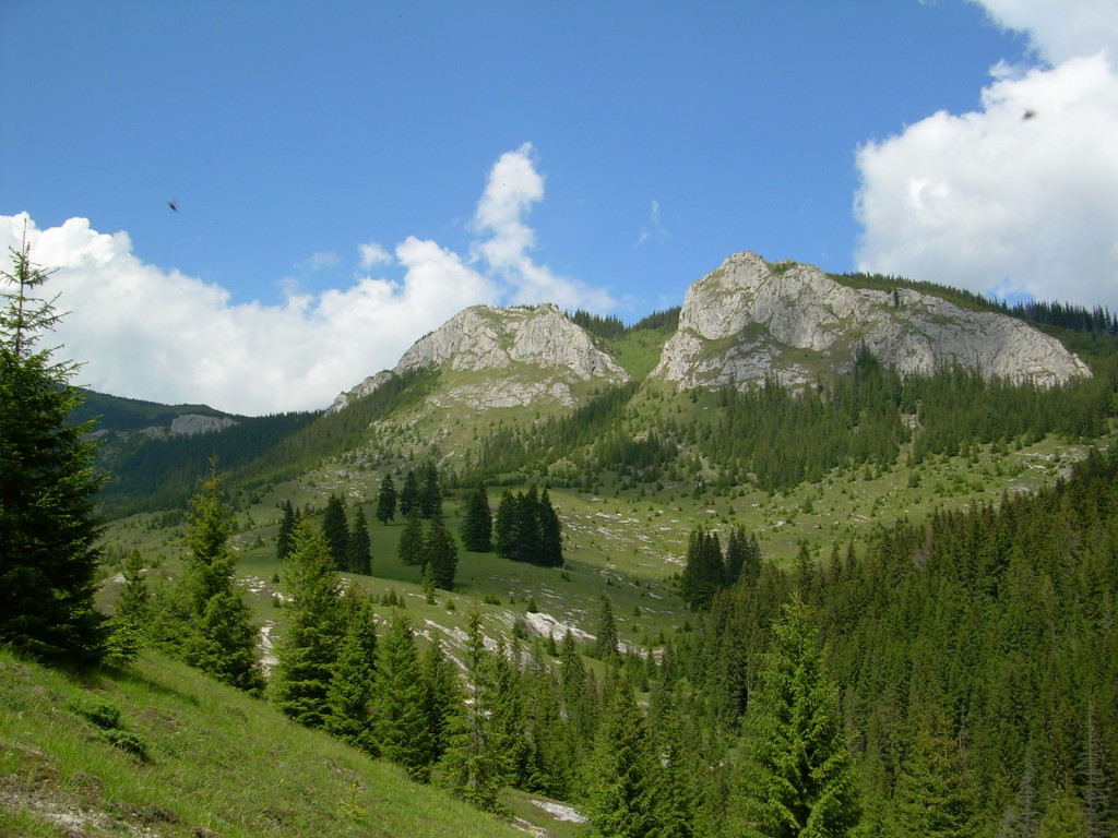 Pietrele_Albe